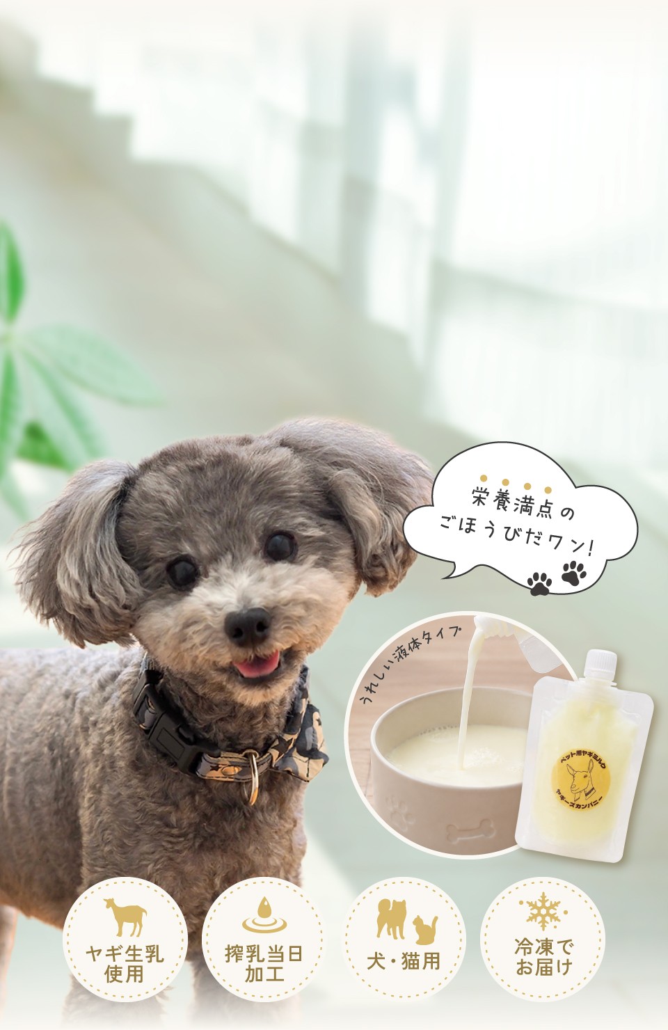ヤギ生乳使用・搾乳当日加工・犬猫用・冷凍でお届け
